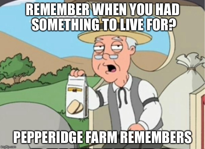 REMEMBER WHEN YOU HAD SOMETHING TO LIVE FOR? PEPPERIDGE FARM REMEMBERS | made w/ Imgflip meme maker