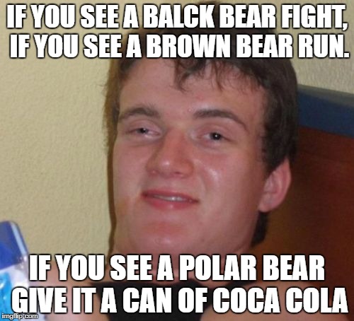10 Guy Meme | IF YOU SEE A BALCK BEAR FIGHT, IF YOU SEE A BROWN BEAR RUN. IF YOU SEE A POLAR BEAR GIVE IT A CAN OF COCA COLA | image tagged in memes,10 guy | made w/ Imgflip meme maker