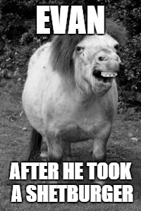 ugly horse | EVAN; AFTER HE TOOK A SHETBURGER | image tagged in ugly horse | made w/ Imgflip meme maker