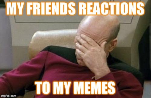 Captain Picard Facepalm Meme | MY FRIENDS REACTIONS; TO MY MEMES | image tagged in memes,captain picard facepalm | made w/ Imgflip meme maker