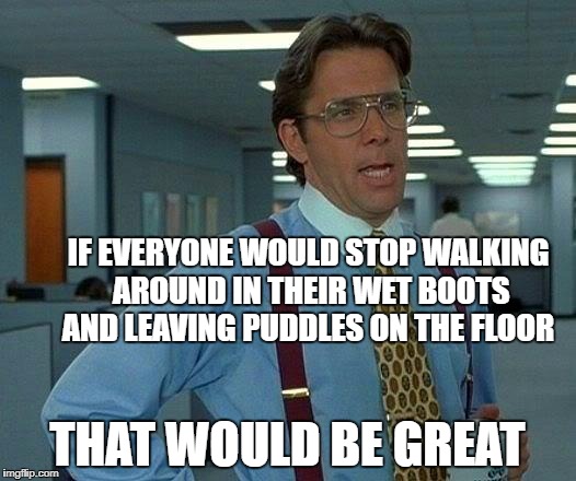 That Would Be Great Meme | IF EVERYONE WOULD STOP WALKING AROUND IN THEIR WET BOOTS AND LEAVING PUDDLES ON THE FLOOR; THAT WOULD BE GREAT | image tagged in memes,that would be great | made w/ Imgflip meme maker