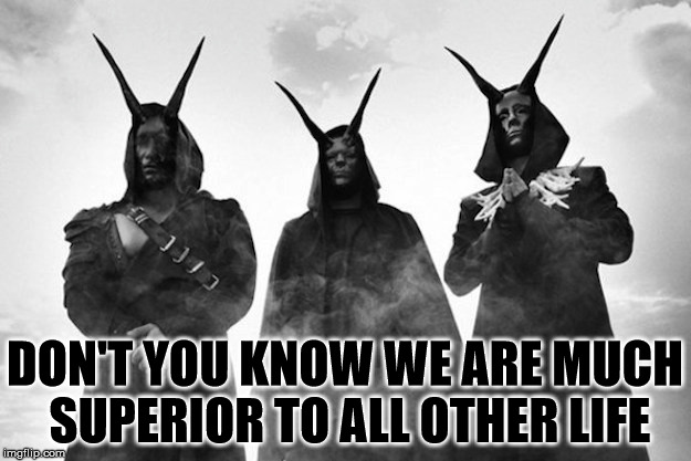 Nihilistic malignant/sexual narcissistic maniacs. | DON'T YOU KNOW WE ARE MUCH SUPERIOR TO ALL OTHER LIFE | image tagged in satanists,malignant narcissism,maniacs | made w/ Imgflip meme maker