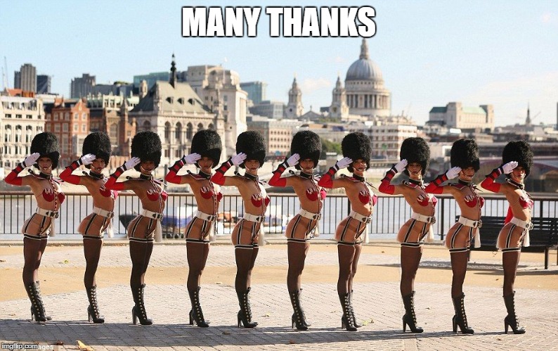 Festive | MANY THANKS | image tagged in festive | made w/ Imgflip meme maker