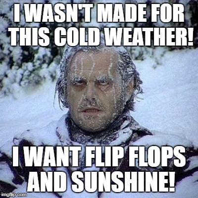 I wasn't made for this cold weather! | I WASN'T MADE FOR THIS COLD WEATHER! I WANT FLIP FLOPS AND SUNSHINE! | image tagged in cold weather | made w/ Imgflip meme maker