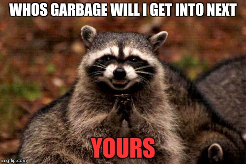 Evil Plotting Raccoon | WHOS GARBAGE WILL I GET INTO NEXT; YOURS | image tagged in memes,evil plotting raccoon | made w/ Imgflip meme maker