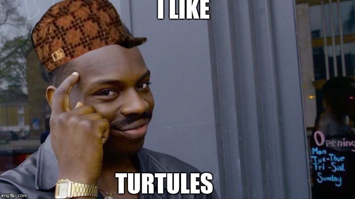 Roll Safe Think About It | I LIKE; TURTULES | image tagged in memes,roll safe think about it,scumbag | made w/ Imgflip meme maker