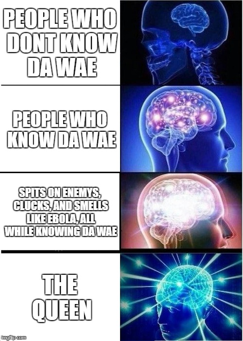 Expanding Brain Meme | PEOPLE WHO DONT KNOW DA WAE; PEOPLE WHO KNOW DA WAE; SPITS ON ENEMYS, CLUCKS, AND SMELLS LIKE EBOLA, ALL WHILE KNOWING DA WAE; THE QUEEN | image tagged in memes,expanding brain | made w/ Imgflip meme maker
