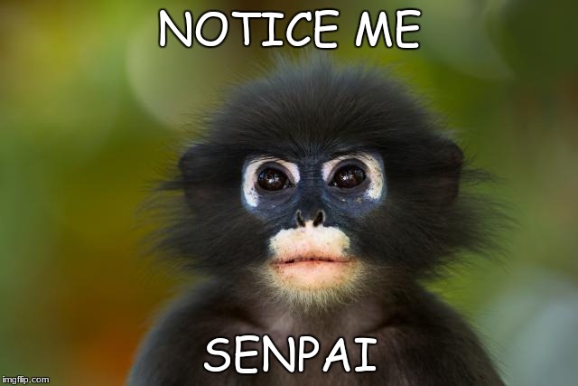 NOTICE ME; SENPAI | image tagged in memes,senpai | made w/ Imgflip meme maker