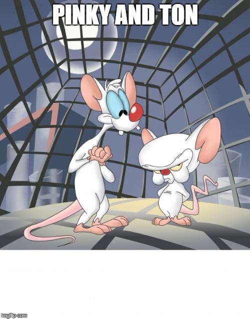 Pinky and the brain | PINKY AND TON | image tagged in pinky and the brain | made w/ Imgflip meme maker