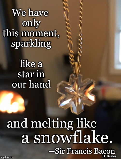 Now | We have only this moment, sparkling like a star in our hand; a snowflake. and melting like; —Sir Francis Bacon; D. Beales | image tagged in snowflake,snowflakes,zen | made w/ Imgflip meme maker