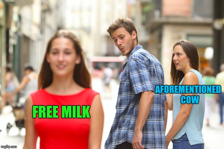 Sayin Goes: Why pay for the cow when you can get the milk for free. | AFOREMENTIONED  COW; FREE MILK | image tagged in memes,distracted boyfriend | made w/ Imgflip meme maker