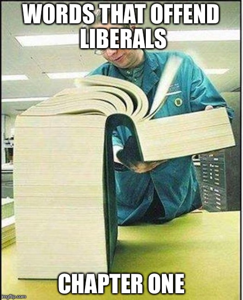 big book | WORDS THAT OFFEND LIBERALS; CHAPTER ONE | image tagged in big book | made w/ Imgflip meme maker
