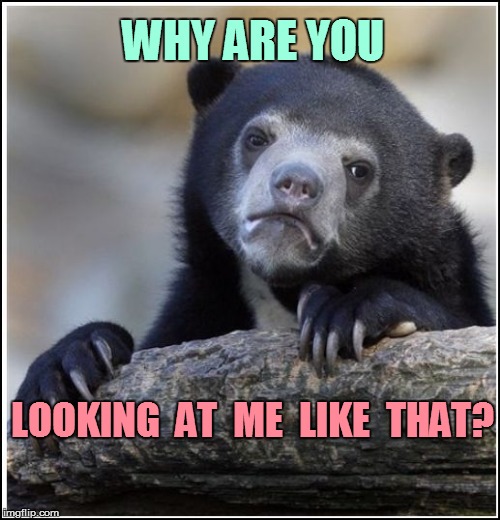 Why? | WHY ARE YOU; LOOKING  AT  ME  LIKE  THAT? | image tagged in confession bear | made w/ Imgflip meme maker