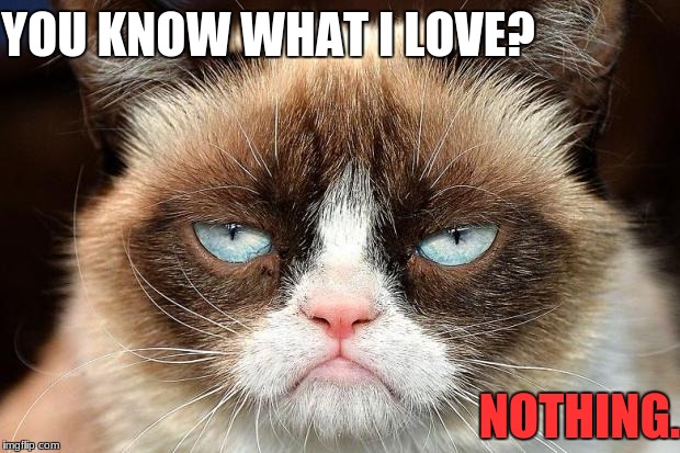 Me, basically | YOU KNOW WHAT I LOVE? NOTHING. | image tagged in memes,grumpy cat not amused,grumpy cat,grumpy cat does not believe,me irl,relatable | made w/ Imgflip meme maker