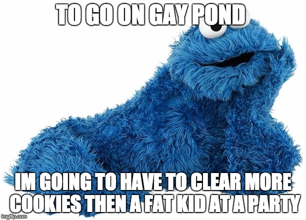 Cookie Monster | TO GO ON GAY POND; IM GOING TO HAVE TO CLEAR MORE COOKIES THEN A FAT KID AT A PARTY | image tagged in cookie monster | made w/ Imgflip meme maker