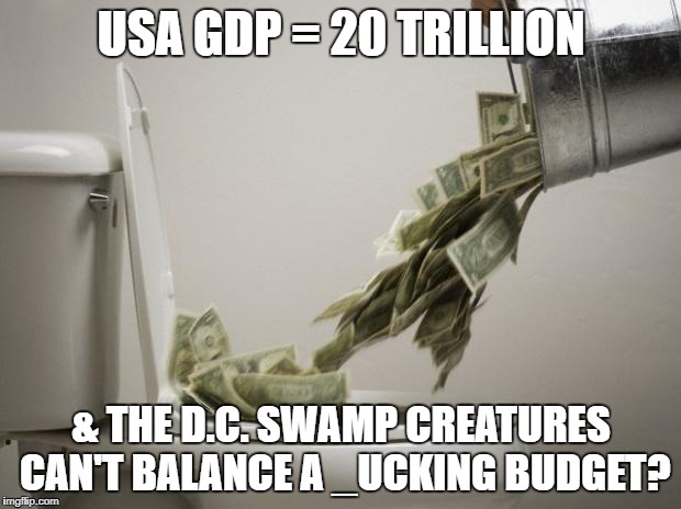 money down toilet | USA GDP = 20 TRILLION; & THE D.C. SWAMP CREATURES CAN'T BALANCE A _UCKING BUDGET? | image tagged in money down toilet | made w/ Imgflip meme maker