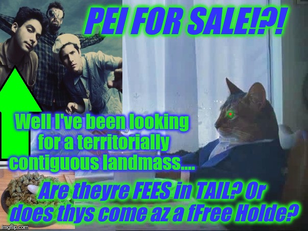 PEI FOR SALE!?! Well I've been looking for a territorially contiguous landmass.... Are theyre FEES in TAIL? Or does thys come az a fFree Hol | made w/ Imgflip meme maker