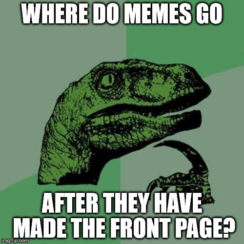 Philosoraptor Meme | WHERE DO MEMES GO; AFTER THEY HAVE MADE THE FRONT PAGE? | image tagged in memes,philosoraptor | made w/ Imgflip meme maker