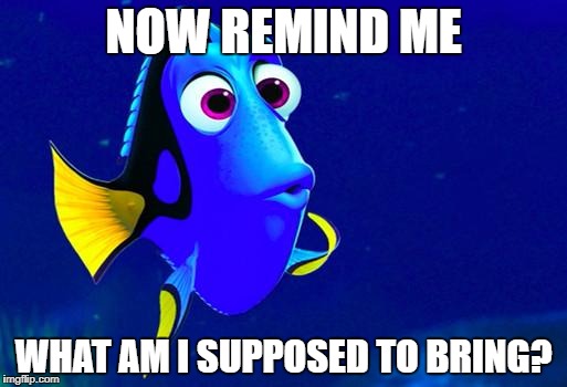 Bad Memory Fish | NOW REMIND ME; WHAT AM I SUPPOSED TO BRING? | image tagged in bad memory fish | made w/ Imgflip meme maker