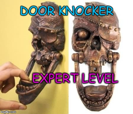 COOL | DOOR KNOCKER; EXPERT LEVEL | image tagged in door,knock knock | made w/ Imgflip meme maker