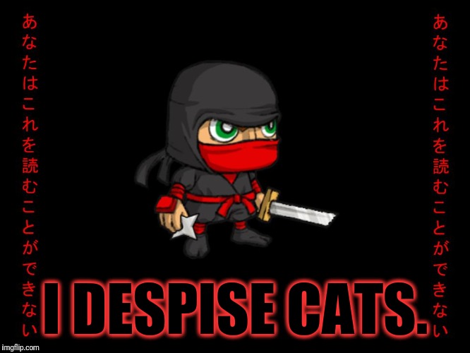 Clever ninja | I DESPISE CATS. | image tagged in clever ninja | made w/ Imgflip meme maker