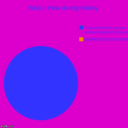 What i think during history | WWWWOOOOOOOOOWWW, This is the future why are we learning about the past | image tagged in funny,pie charts | made w/ Imgflip chart maker