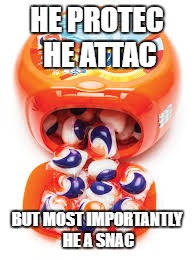 HE PROTEC HE ATTAC; BUT MOST IMPORTANTLY HE A SNAC | image tagged in yummisnak | made w/ Imgflip meme maker