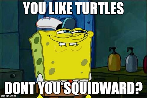 Don't You Squidward | YOU LIKE TURTLES; DONT YOU SQUIDWARD? | image tagged in memes,dont you squidward | made w/ Imgflip meme maker