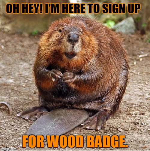 Beaver | OH HEY! I'M HERE TO SIGN UP; FOR
WOOD BADGE. | image tagged in beaver | made w/ Imgflip meme maker