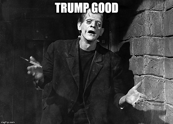 tump | TRUMP GOOD | image tagged in frankenstein | made w/ Imgflip meme maker