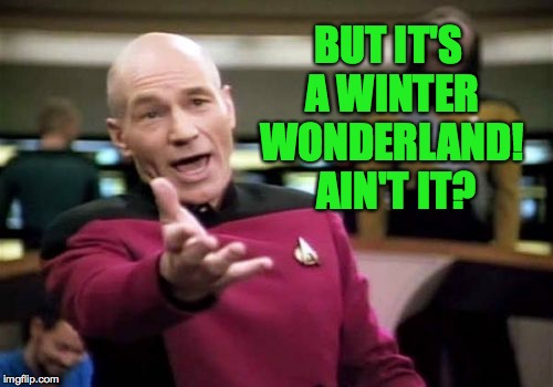 Picard Wtf Meme | BUT IT'S A WINTER WONDERLAND!  AIN'T IT? | image tagged in memes,picard wtf | made w/ Imgflip meme maker