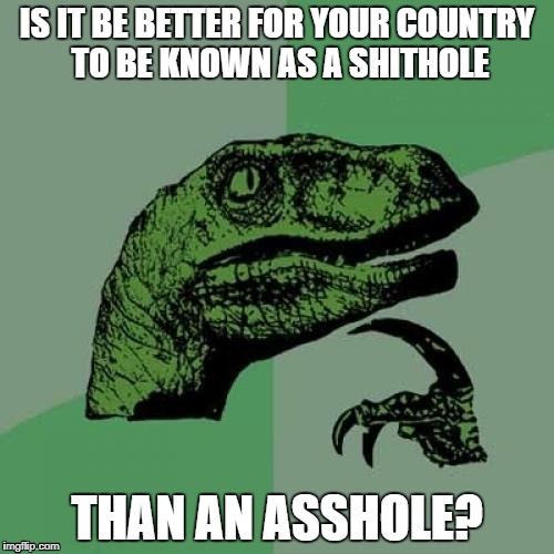 Tomato / Tomato | IS IT BE BETTER FOR YOUR COUNTRY TO BE KNOWN AS A SHITHOLE; THAN AN ASSHOLE? | image tagged in memes,philosoraptor,shithole | made w/ Imgflip meme maker