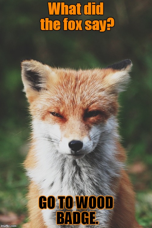 Fox staring | What did the fox say? GO TO WOOD BADGE. | image tagged in fox staring | made w/ Imgflip meme maker