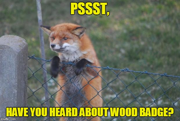 FOX WANNA BUY | PSSST, HAVE YOU HEARD ABOUT WOOD BADGE? | image tagged in fox wanna buy | made w/ Imgflip meme maker