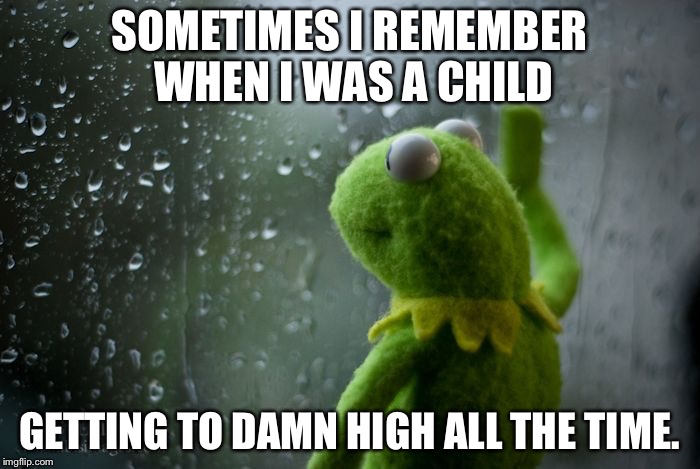 Kermit Remembering Illegal Crap |  SOMETIMES I REMEMBER WHEN I WAS A CHILD; GETTING TO DAMN HIGH ALL THE TIME. | image tagged in kermit window,memes,funny,high | made w/ Imgflip meme maker