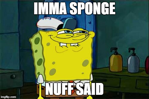 Don't You Squidward Meme | IMMA SPONGE; NUFF SAID | image tagged in memes,dont you squidward | made w/ Imgflip meme maker