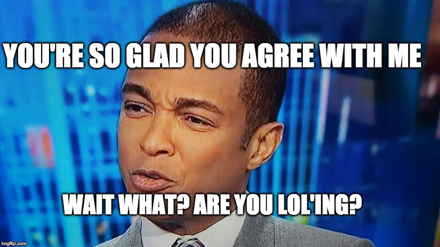 Don Lemon | YOU'RE SO GLAD YOU AGREE WITH ME; WAIT WHAT? ARE YOU LOL'ING? | image tagged in don lemon | made w/ Imgflip meme maker