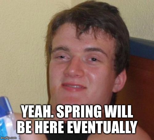 10 Guy Meme | YEAH. SPRING WILL BE HERE EVENTUALLY | image tagged in memes,10 guy | made w/ Imgflip meme maker