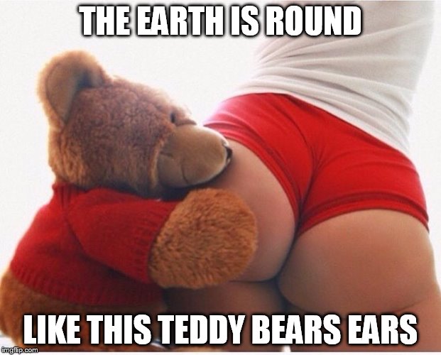 Booty | THE EARTH IS ROUND; LIKE THIS TEDDY BEARS EARS | image tagged in booty | made w/ Imgflip meme maker