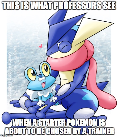 Pokeparent in Kalos | THIS IS WHAT PROFESSORS SEE; WHEN A STARTER POKEMON IS ABOUT TO BE CHOSEN BY A TRAINER | image tagged in kalos,pokemon,greninja,froakie,memes | made w/ Imgflip meme maker