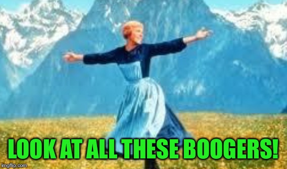 LOOK AT ALL THESE BOOGERS! | made w/ Imgflip meme maker