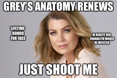 Hoe In The Wall | GREY’S ANATOMY RENEWS; LIFETIME BONDO FOR FACE; IN REALITY HER CHARACTER WOULD BE INFECTED; JUST SHOOT ME | image tagged in hoe,thots,skank,stds,mgtow,the wall | made w/ Imgflip meme maker