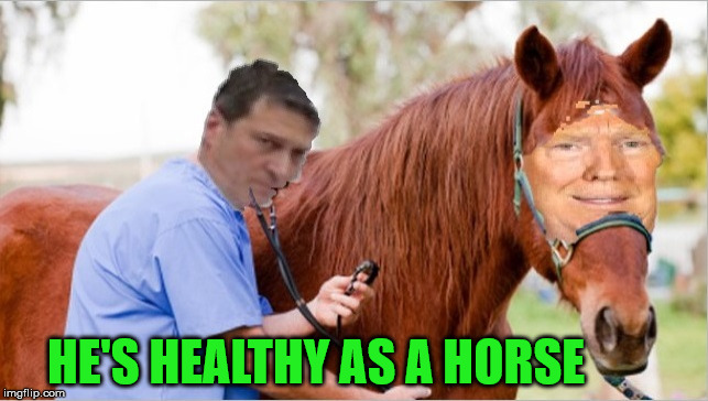 ...Just About As Smart As One Too! | HE'S HEALTHY AS A HORSE | image tagged in trump,memes,healthy,donald trump,horse,so you're telling me | made w/ Imgflip meme maker