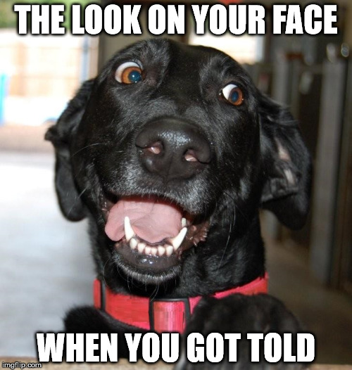 You Got Told | THE LOOK ON YOUR FACE; WHEN YOU GOT TOLD | image tagged in the look on your face,told,i told you,i was told,when you got told,they told me | made w/ Imgflip meme maker