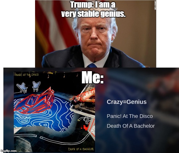 Very Stable Genius | Trump: I am a very stable genius. Me: | image tagged in trump | made w/ Imgflip meme maker