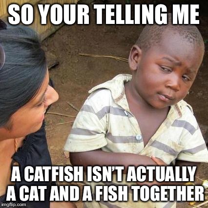 Third World Skeptical Kid Meme | SO YOUR TELLING ME; A CATFISH ISN’T ACTUALLY A CAT AND A FISH TOGETHER | image tagged in memes,third world skeptical kid | made w/ Imgflip meme maker