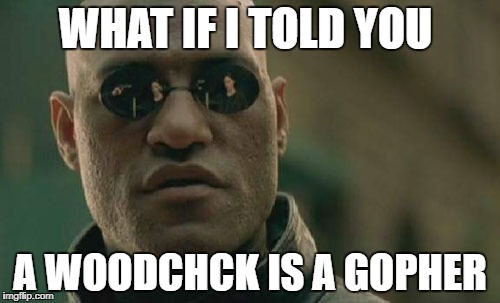 Matrix Morpheus Meme | WHAT IF I TOLD YOU; A WOODCHCK IS A GOPHER | image tagged in memes,matrix morpheus | made w/ Imgflip meme maker