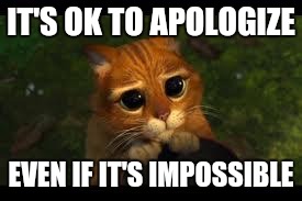 Apology Cat | IT'S OK TO APOLOGIZE; EVEN IF IT'S IMPOSSIBLE | image tagged in apology cat | made w/ Imgflip meme maker