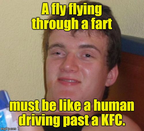 10 Guy Meme | A fly flying through a fart; must be like a human driving past a KFC. | image tagged in memes,10 guy | made w/ Imgflip meme maker