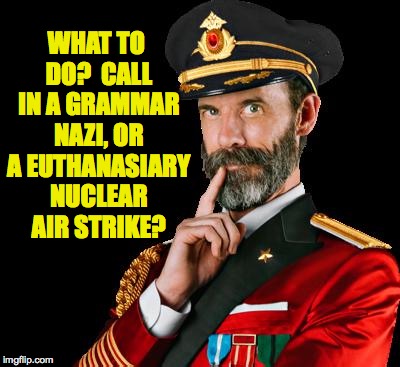 WHAT TO DO?  CALL IN A GRAMMAR NAZI, OR A EUTHANASIARY NUCLEAR AIR STRIKE? | made w/ Imgflip meme maker